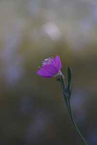 my first story – rewritten