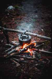storytelling and human nature